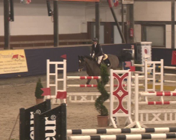 Reitturnier Exter 2025
