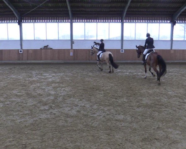 Reitturnier Werne 2025