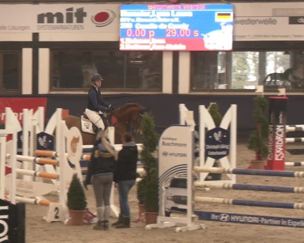 Reitturnier Exter 2025