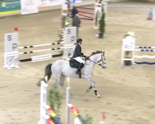 Reitturnier Schaffhausen 2025