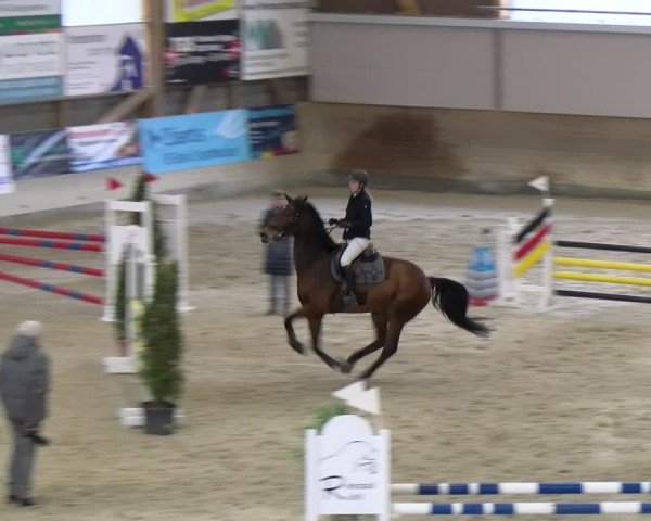 Reitturnier Schaffhausen 2025