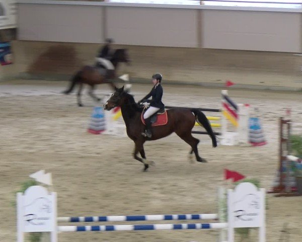 Reitturnier Schaffhausen 2025