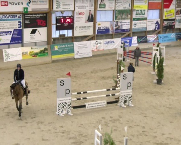 Reitturnier Schaffhausen 2025