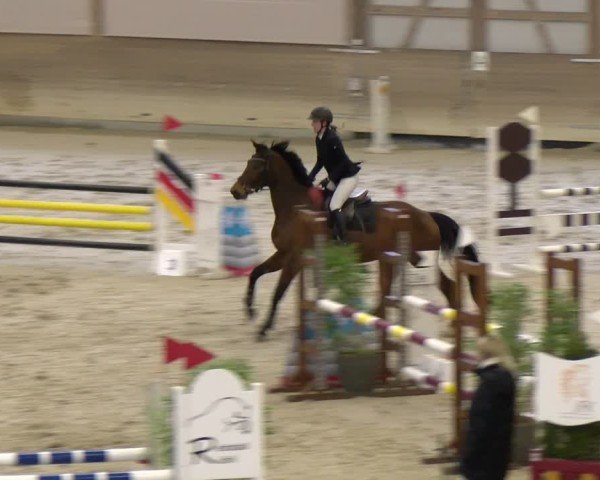 Reitturnier Schaffhausen 2025