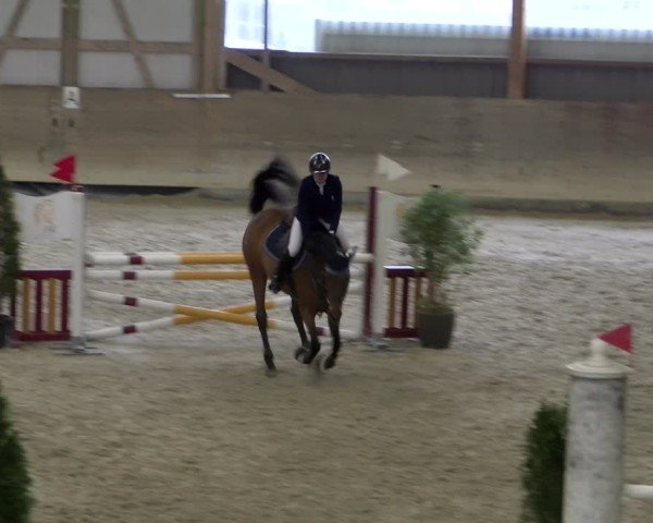 Reitturnier Schaffhausen 2025