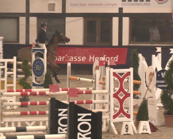 Reitturnier Exter 2025