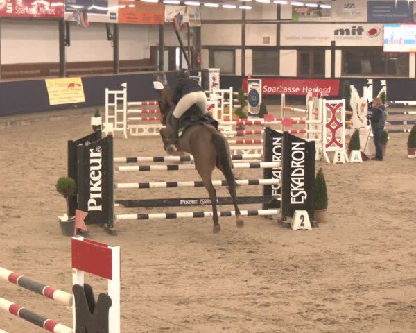 Reitturnier Exter 2025