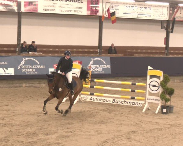 Reitturnier Exter 2025