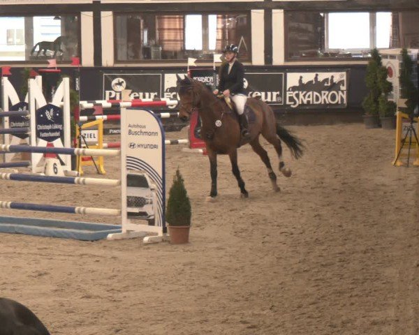 Reitturnier Exter 2025
