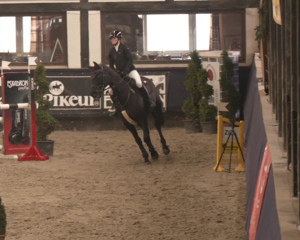 Reitturnier Exter 2025