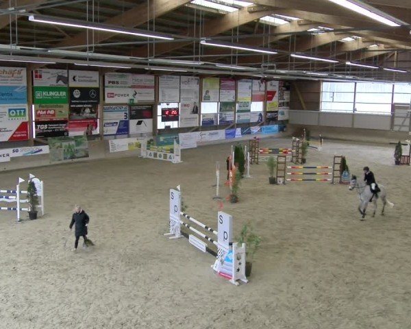 Reitturnier Schaffhausen 2025