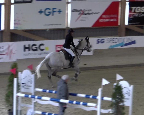 Reitturnier Schaffhausen 2025