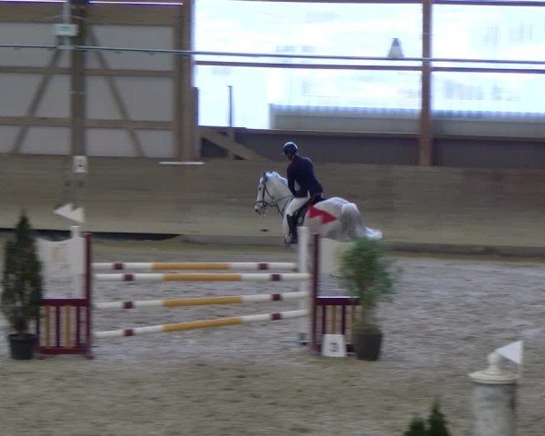 Reitturnier Schaffhausen 2025