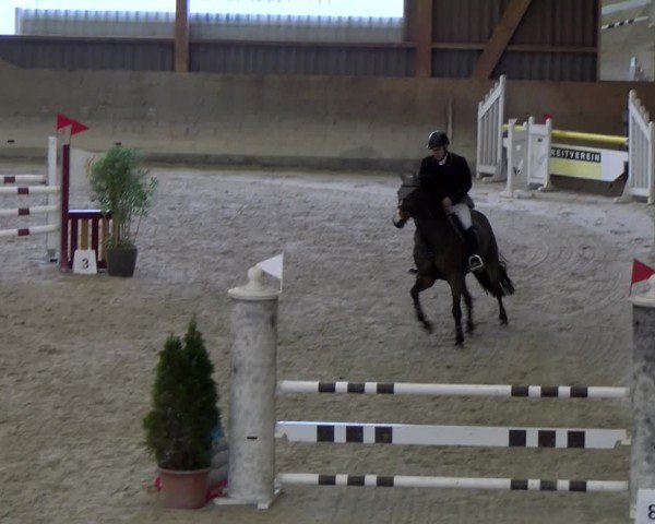 Reitturnier Schaffhausen 2025