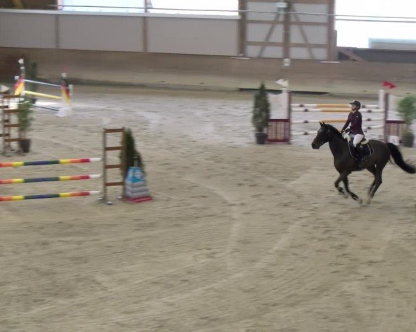 Reitturnier Schaffhausen 2025