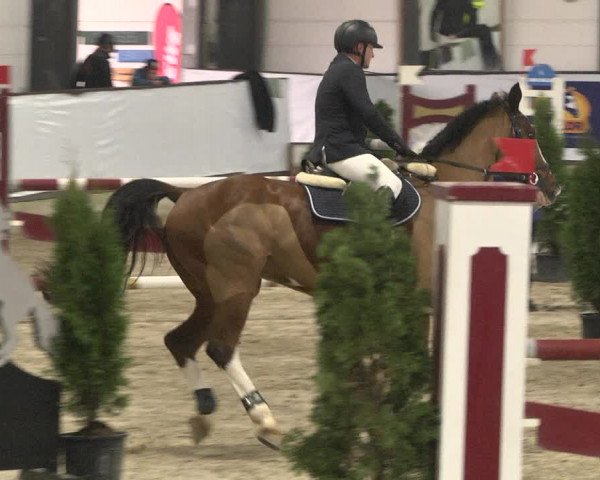 Reitturnier Karlsfeld/Obb. 2021
