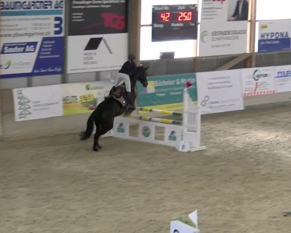 Reitturnier Schaffhausen 2025