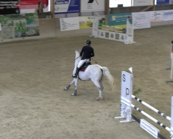 Reitturnier Schaffhausen 2025