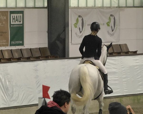 Reitturnier Karlsfeld/Obb. 2021