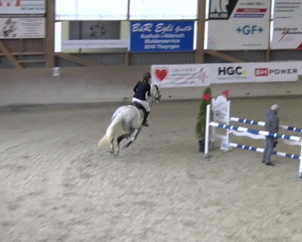 Reitturnier Schaffhausen 2025