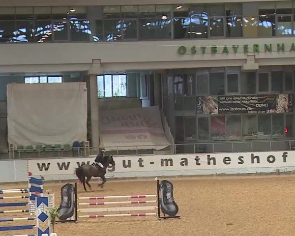 Reitturnier Kreuth 2025