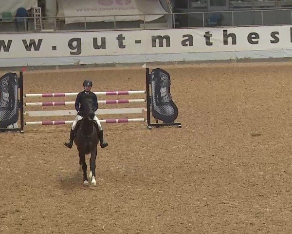 Reitturnier Kreuth 2025