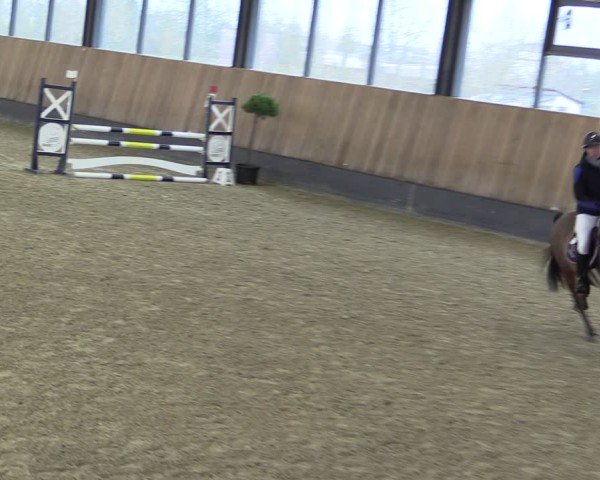 Reitturnier Zwickau 2025