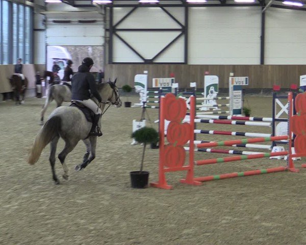 Reitturnier Zwickau 2025