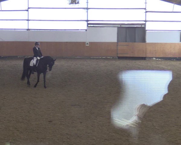 Reitturnier Datteln 2025