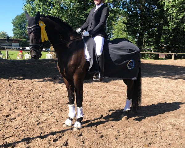 dressage horse Ethos 16 (Trakehner, 2012, from Kentucky)