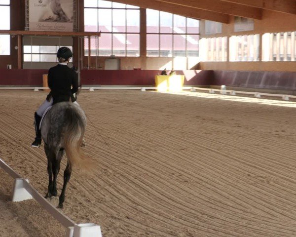 Reitturnier Balingen 2025