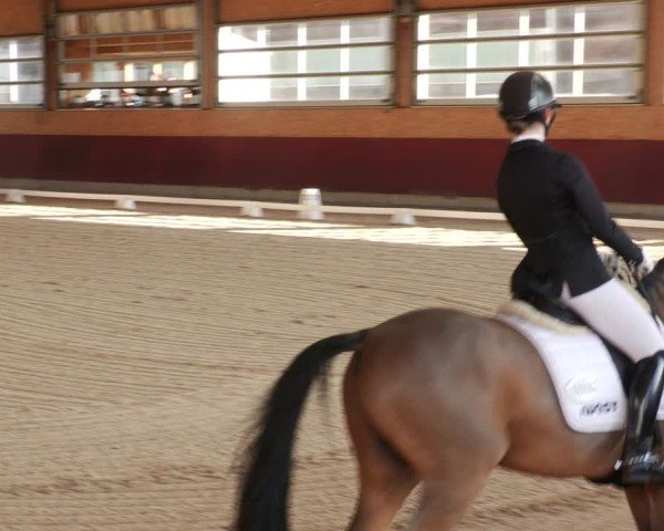 Reitturnier Balingen 2025