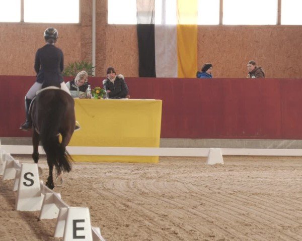 Reitturnier Balingen 2025