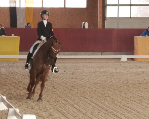 Reitturnier Balingen 2025
