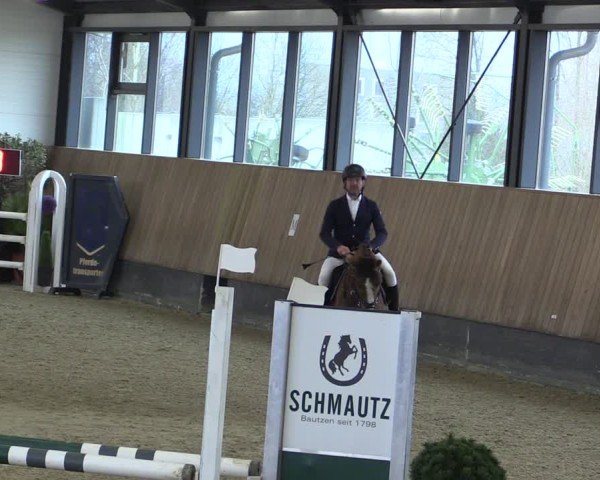 Reitturnier Zwickau 2025