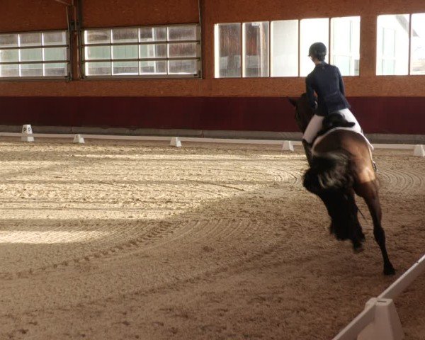 Reitturnier Balingen 2025