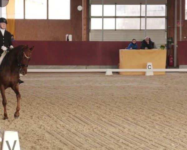 Reitturnier Balingen 2025