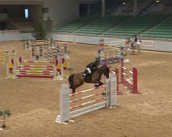 Reitturnier Kreuth 2025