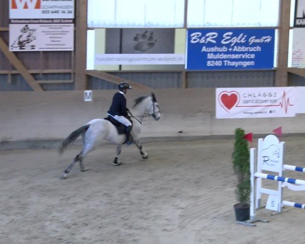 Reitturnier Schaffhausen 2025