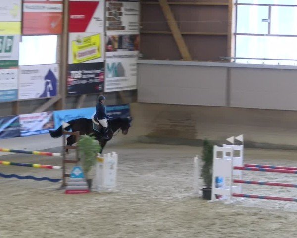 Reitturnier Schaffhausen 2025