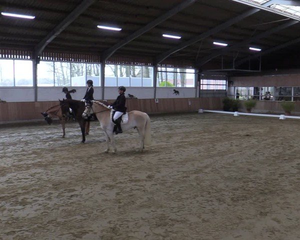 Reitturnier Werne 2025