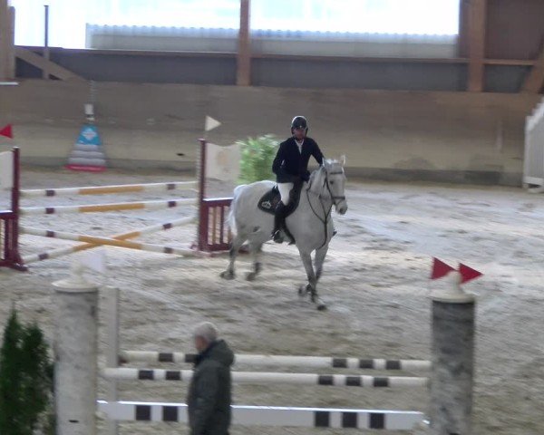 Reitturnier Schaffhausen 2025