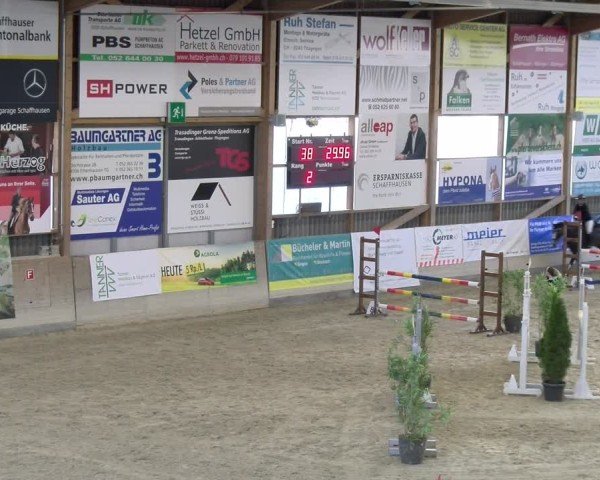 Reitturnier Schaffhausen 2025