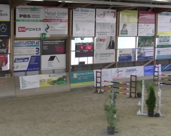 Reitturnier Schaffhausen 2025