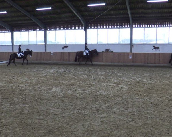 Reitturnier Werne 2025