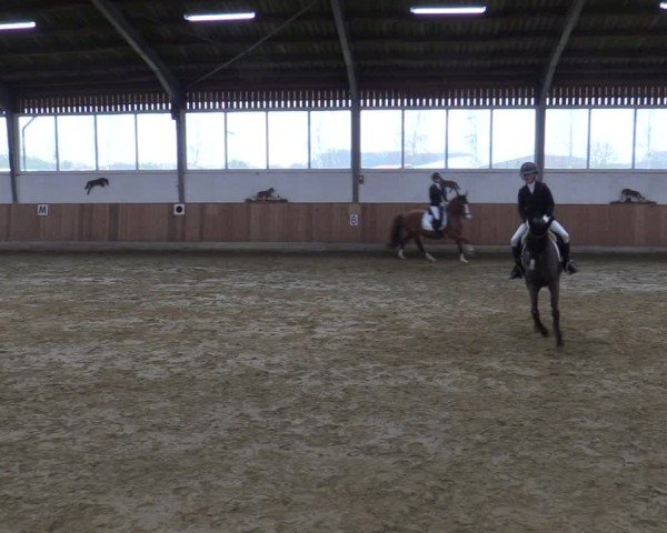 Reitturnier Werne 2025