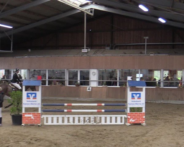 Reitturnier Werne 2025