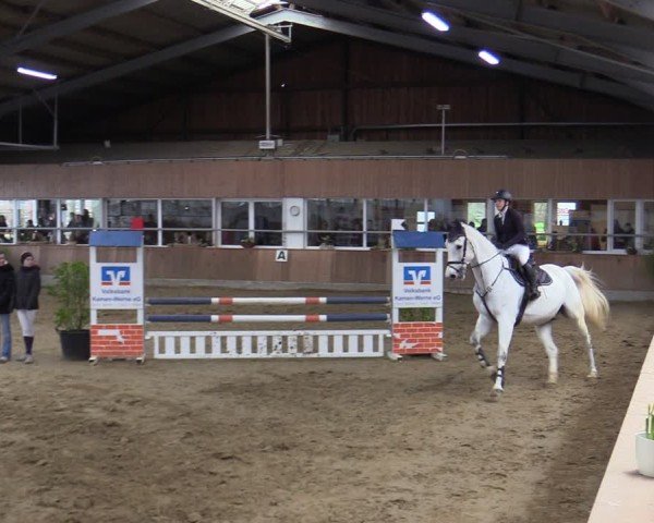 Reitturnier Werne 2025