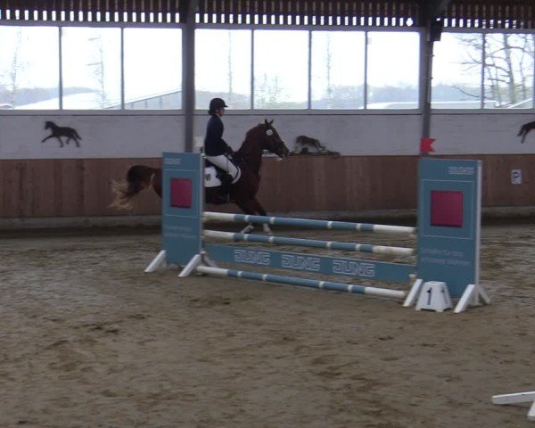 Reitturnier Werne 2025