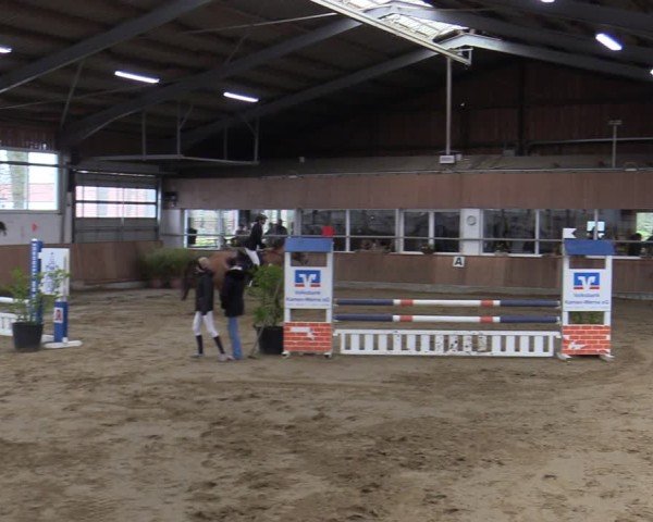 Reitturnier Werne 2025